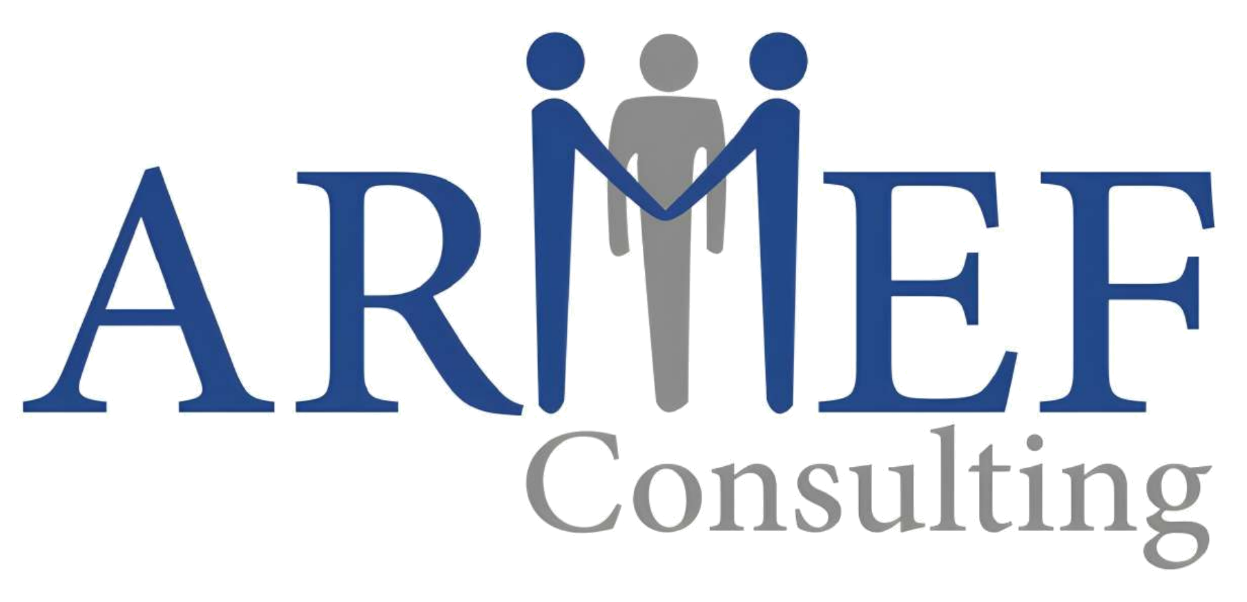ARMEF Consulting